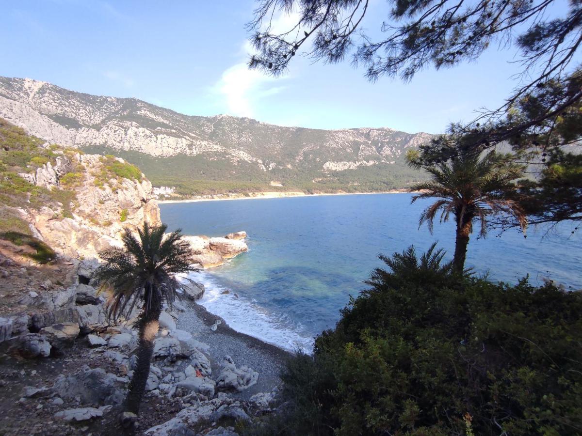 Hurmalik Apart Evleri-Very Close To The Sea Large Garden Bungalow With Barbecue And Swing Karaoz Exterior photo
