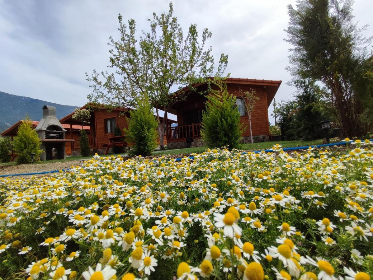 Hurmalik Apart Evleri-Very Close To The Sea Large Garden Bungalow With Barbecue And Swing Karaoz Exterior photo